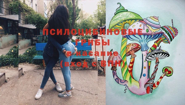 spice Алексеевка