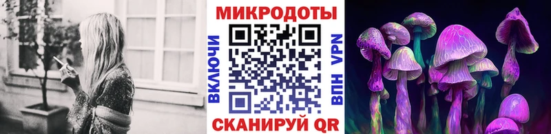 Галлюциногенные грибы прущие грибы  Чухлома 